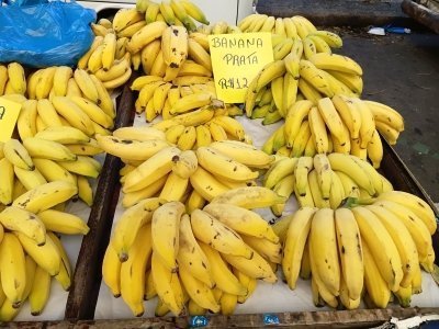Rio de Janeiro: Copacabana Market Tour with Tastings