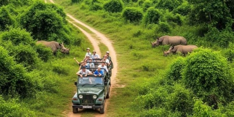 4-Day Nepal Fixed Departure Tour: Pokhara, Lumbini & Chitwan