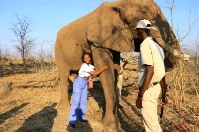 Elephant Encounter