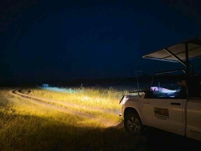 Night Drive Safari with Bush Dinner