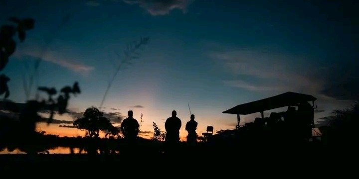 Night Drive Safari with Bush Dinner