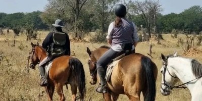 Horse Back Safari