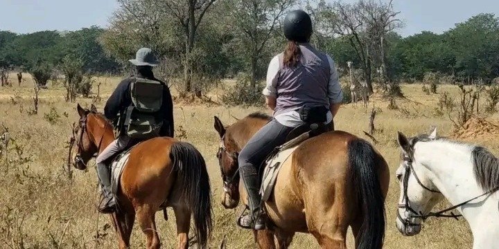 Horse Back Safari