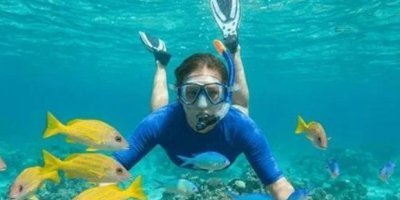 Double Reef Snorkel Bermuda Dockyard  (Small Group)