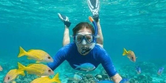 Double Reef Snorkel Bermuda Dockyard  (Small Group)
