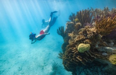Double Reef Snorkel Bermuda Dockyard  (Small Group)