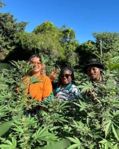 Falmouth: Rafting, Cannabis Farm Tour & Tropical Birds Aviary