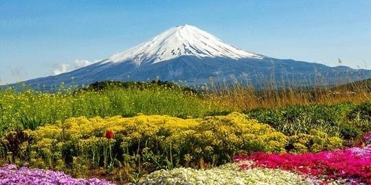 Mount Fuji Customizable Private Day Tour from Tokyo