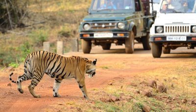 Discovering Nagpur and Ramtek Private Tour