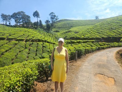 Enchanting Munnar Tour from Madurai