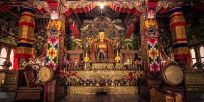 Multi-Day Tours & Cruises