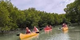 Charming of Khoasok National Park