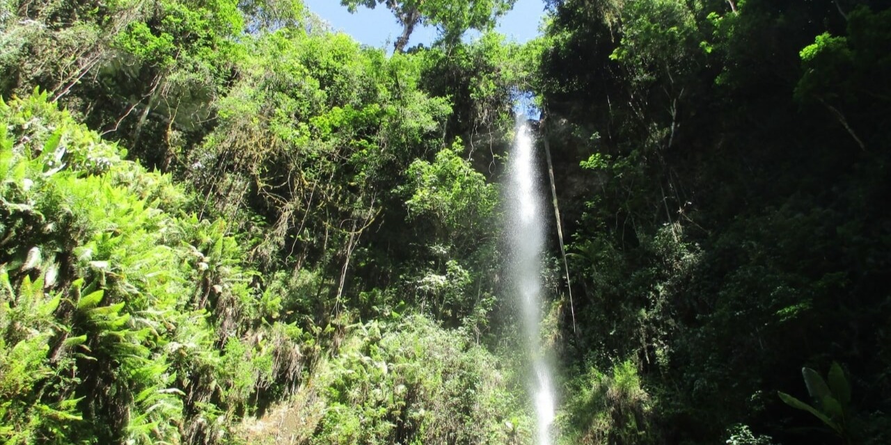 Materuni waterfalls day trip