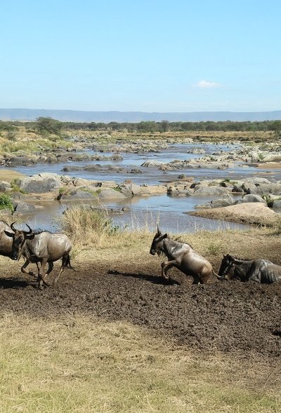 9 days Tanzania and Kenya combine safari