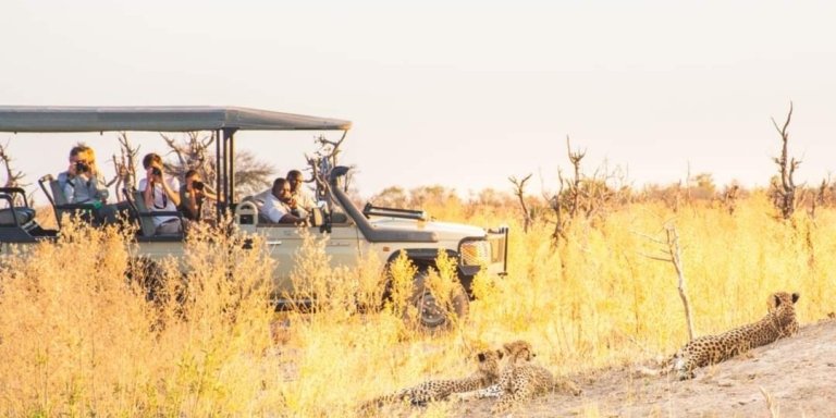 Southluangwa NP budget safari . Shuma House - Stand alone Houses