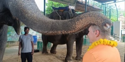 JAIPUR ELE JUNGLE TOUR