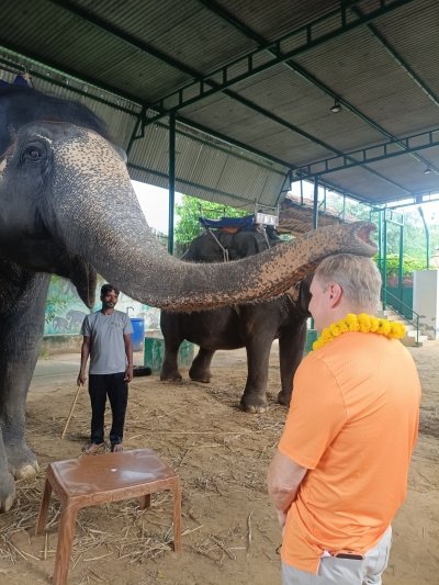 JAIPUR ELE JUNGLE TOUR