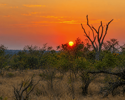 10 Day Private Safari, Kruger, Eswatini, Hluhluwe & Lesotho