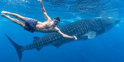 Cebu: Oslob Whale Shark Swimming & Kawasan Canyoneering