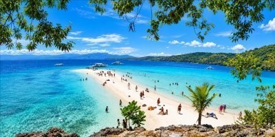 Oslob Whale Shark Swimming, Sumilon Island & Moalboal Sardine Run