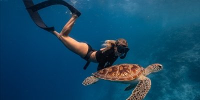 Guided Snorkel Tour