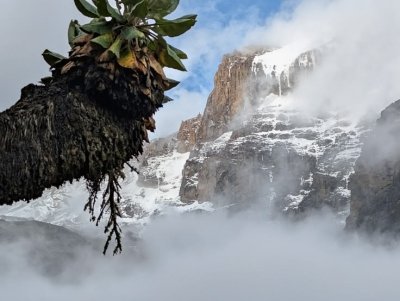 Machame Adventure Summit – 6 Days Kilimanjaro Trek