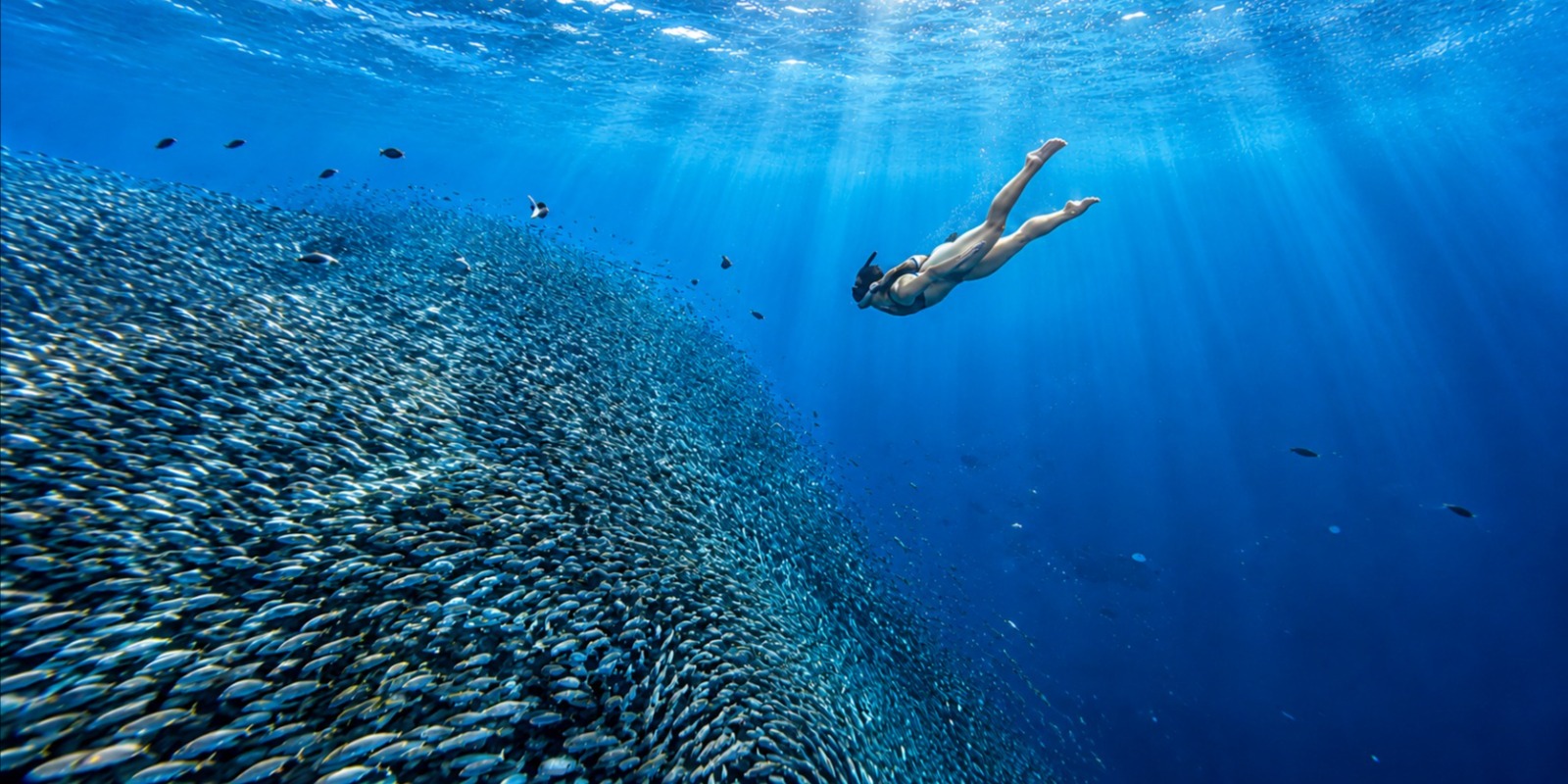 Cebu: Moalboal Snorkeling & Kawasan Canyoneering Private Tour
