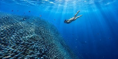 Cebu: Moalboal Snorkeling & Kawasan Canyoneering Private Tour