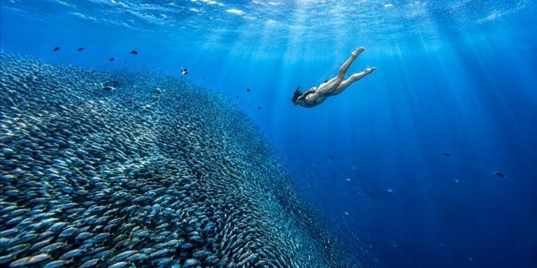 Cebu: Moalboal Snorkeling & Kawasan Canyoneering Private Tour