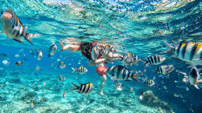 Cebu: Moalboal Snorkeling & Kawasan Canyoneering Private Tour