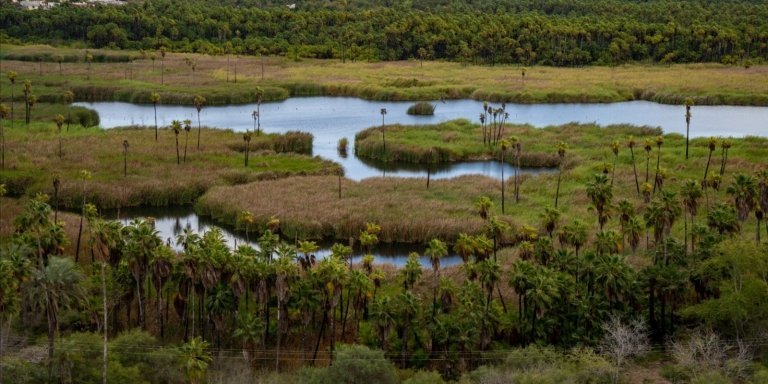 Baja Jeep Offroad Private Tour
