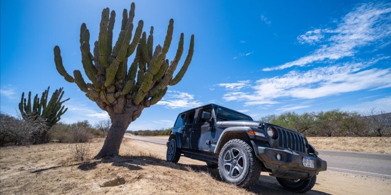 Private Baja Jeep Adventure to Sol de Mayo Waterfall