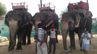 7-Day Golden Triangle: 4-Star Comfort (Delhi, Agra & Jaipur)