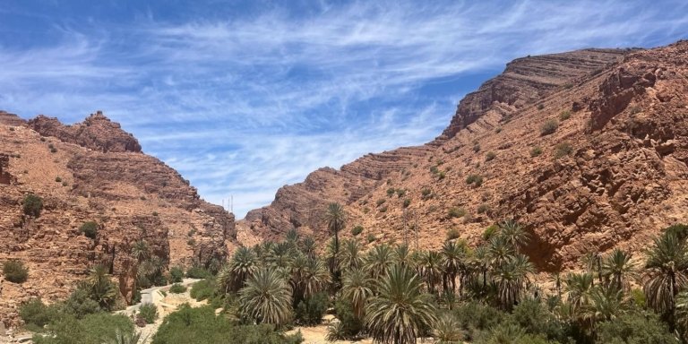 9-Day Morocco Nature Adventure Tour from Marrakech Scenic Coast