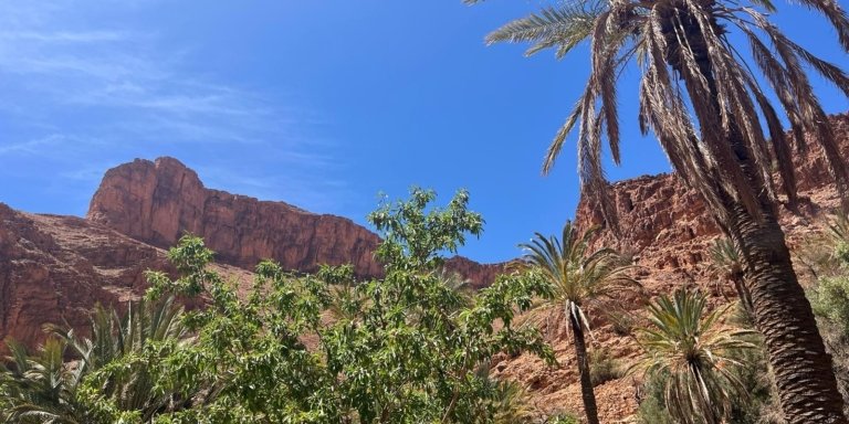 9-Day Morocco Nature Adventure Tour from Marrakech Scenic Explorer