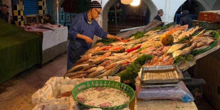 14-Day Morocco Imperial Cities Sahara Tour