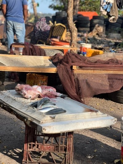 Ng'ambo Urban Adventure: Walk Beyond StoneTown.