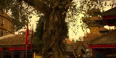 Nepal cultural and heritage tour