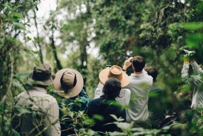 3 Days Chimpanzee Trekking in Kibale National Park Uganda 3 Days Chimpanzee Trekking in Kibale National Park Uganda