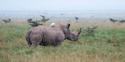 4 DAYS TANZANIA SHARING BUDGET SAFARI