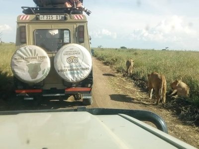 2 Days Tanzania Private Safari Tarangire & Ngorongoro Crater