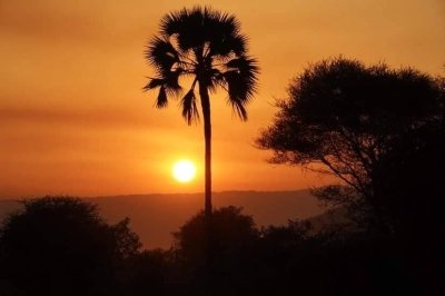 5-Day Mid-Range Safari Tarangire Serengeti Ngorongoro