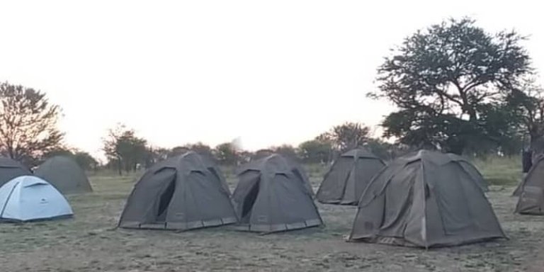 3 Days Tanzania Camping Safari