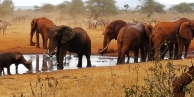 Multi-Day Tours & Cruises