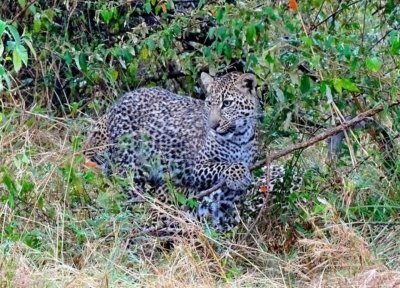 2 Days Ngutuni Sanctuary