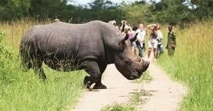 3 Days Murchison Falls Tours 3 Days Murchison Falls Tours