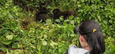 5 Days Gorilla Tour and Queen Elizabeth National Park tour. 5 Days Gorilla Tour and Queen Elizabeth National Park tour.