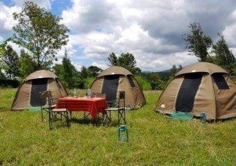 10-Day Camping Safari, Kilimanjaro Trek, Cultural Tour