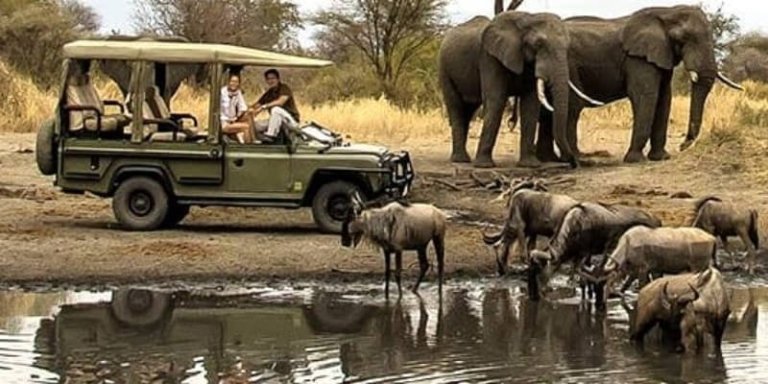10-Day Camping Safari, Kilimanjaro Trek, Cultural Tour