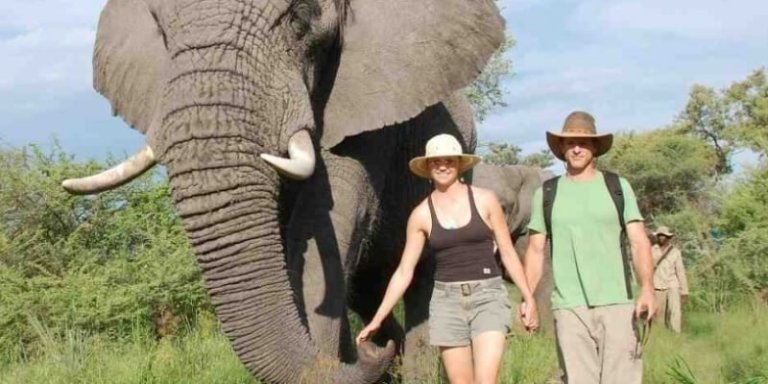 12-Day Honey Moon Classic Safari and Beach Vacation.